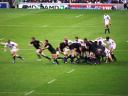 Scrum
