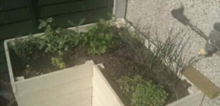 New herb planter 