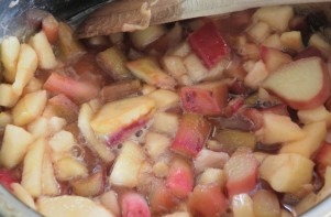 Rhubarb & Apple Jam