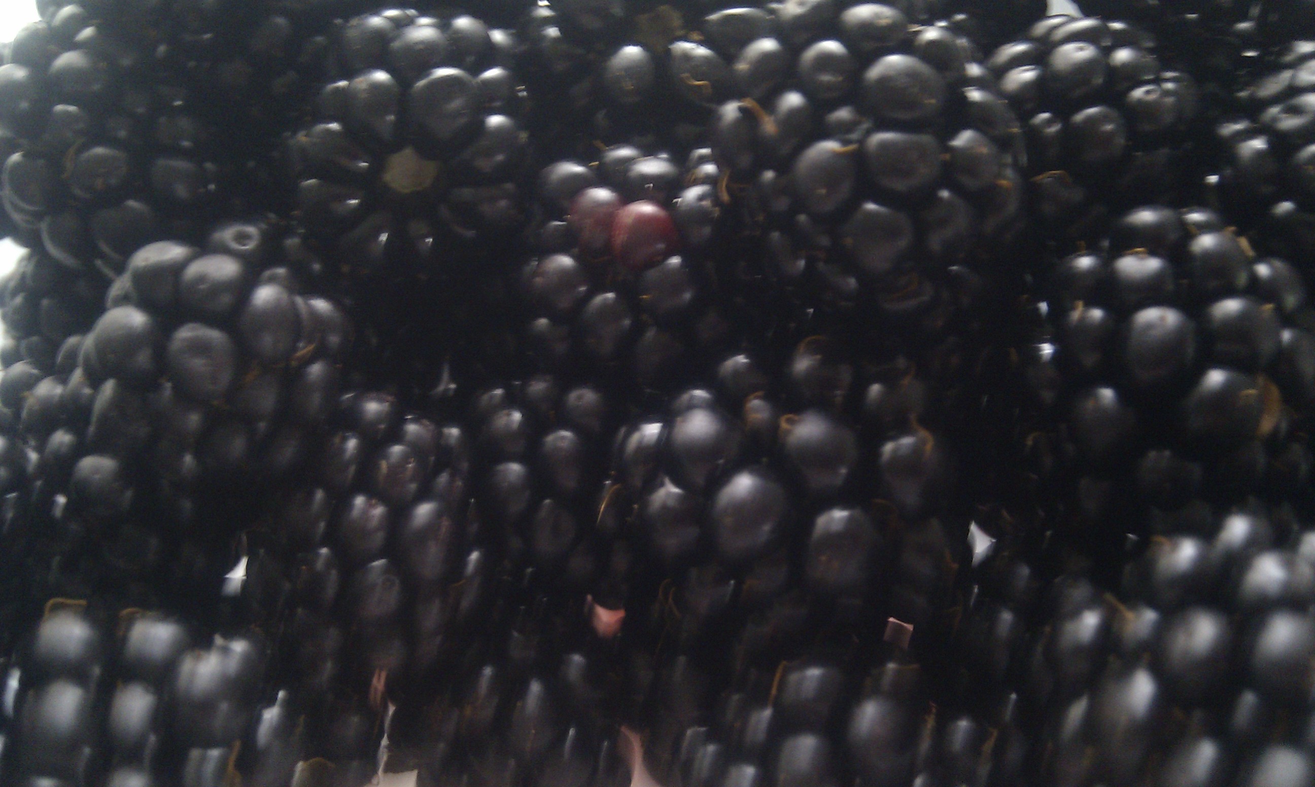 What to do with all our Blackberries